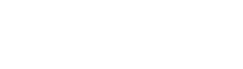 autoservice hille